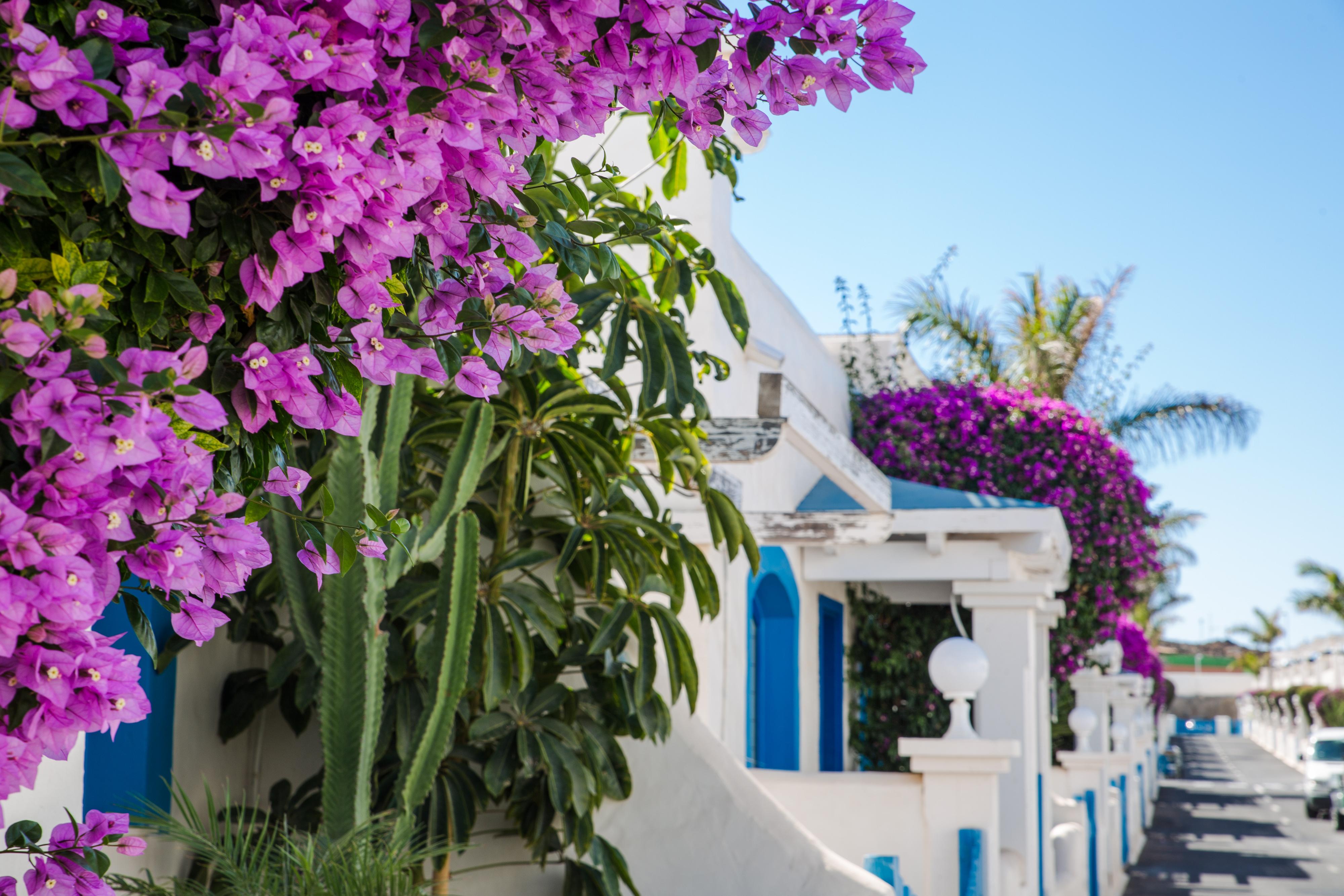 Bahiazul Fuerteventura Hotel Corralejo